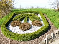 11 Cerisiers en fleurs dans l&#39;Ortenau Mösbach 10 04 2016 24